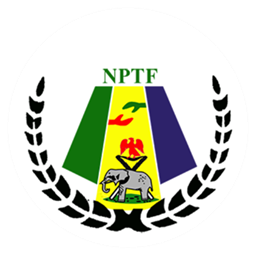 Nigeria dark Logo